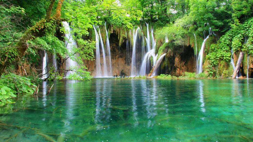 Waterfalls Greenery Clear Water Nature Tranquility Lush