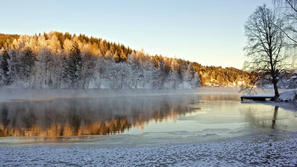 Winter lake snow trees sunrise reflection