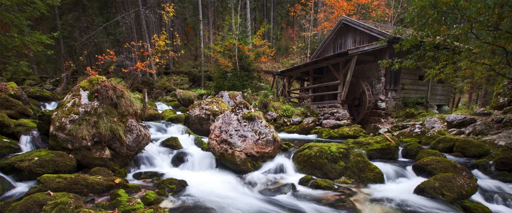 Wooden Cabin Stream Mossy Rocks Autumn Leaves Forest