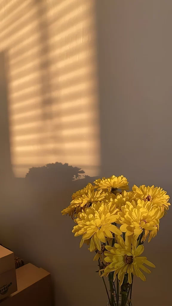 Yellow Flowers Sunlight Shadow Wall Vase