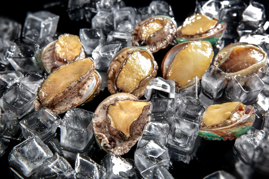 Abalone Fresh Yellow Shell Ice