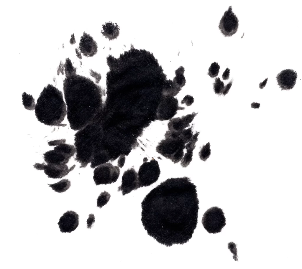 Abstract Black Ink Spots Varied Sizes Textured Random