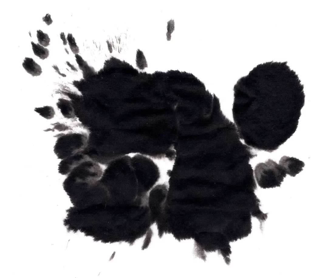 Abstract Black Ink Wash Gradient Flowing Dense