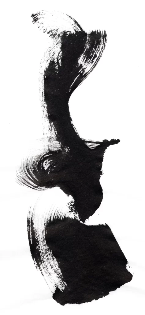 Abstract Black White Flowing Dynamic Fluidity
