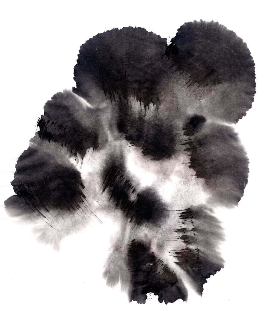 Abstract Black White Gradient Texture Organic Flowing