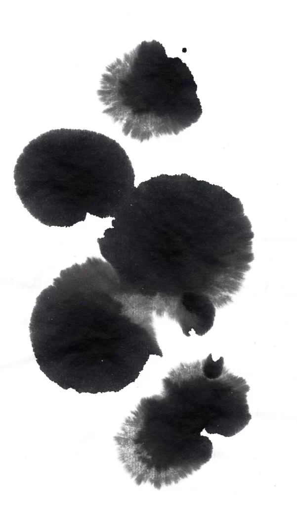 Abstract Black White Organic Spontaneous Fluid