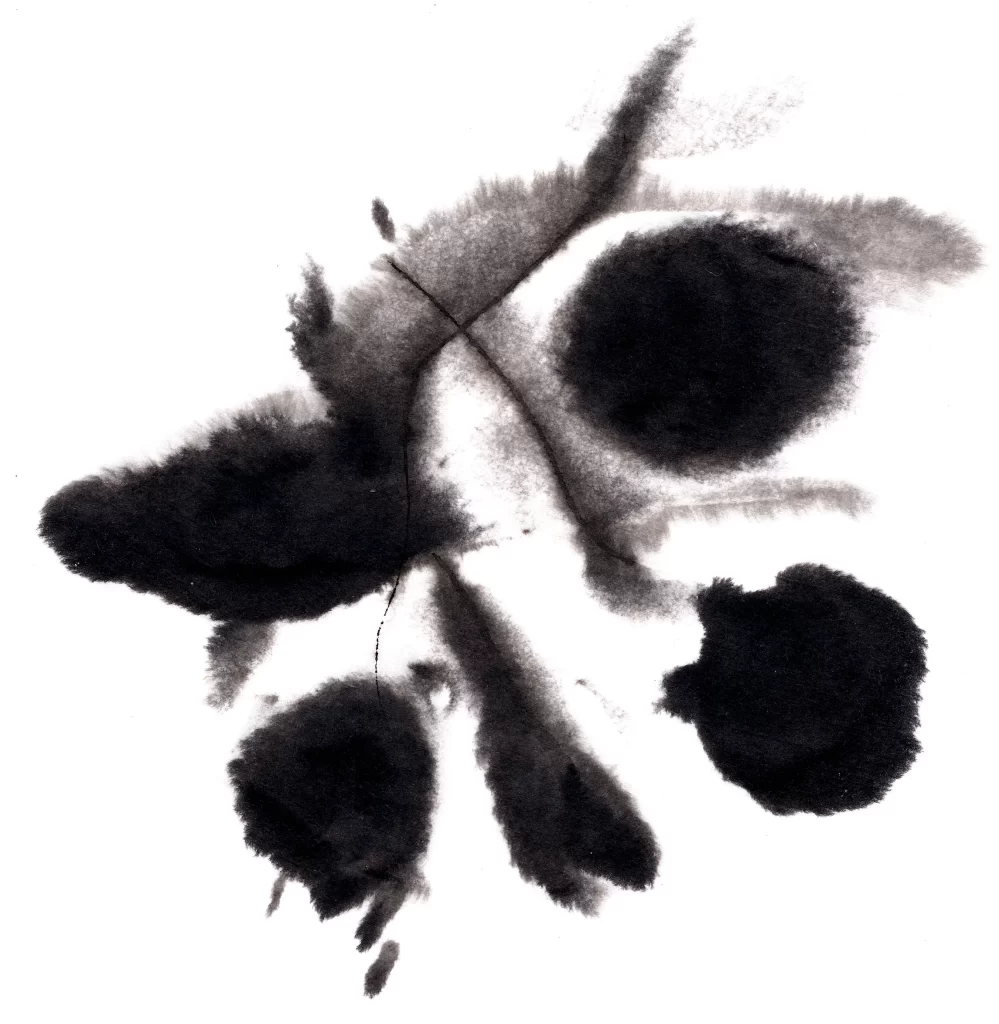 Abstract Ink Wash Black Gray Gradient Flowing