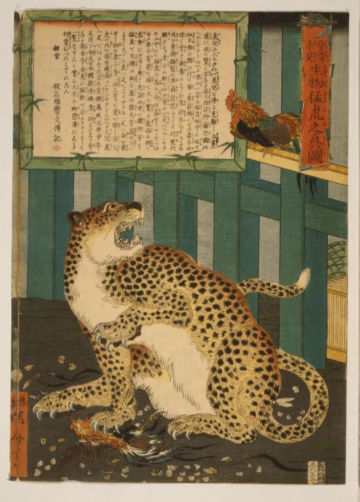 Animal Leopard Rooster Traditional Art Japanese Narrative