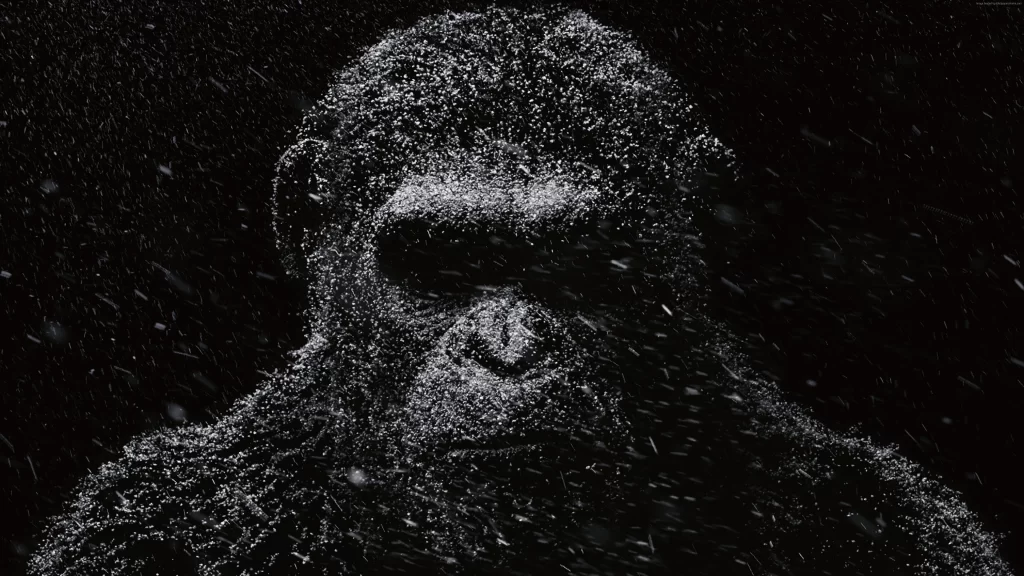 ape snow black and white intense expression contrast