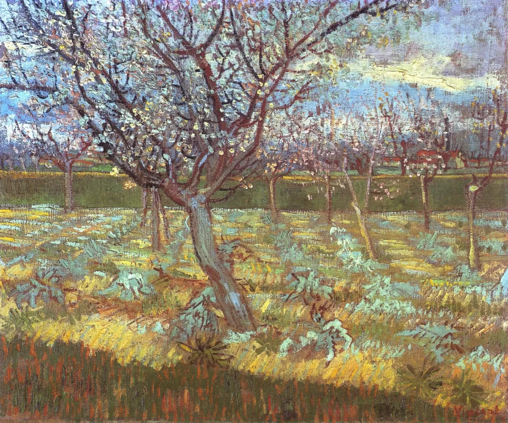Apricot Tree in Bloom Van Gogh