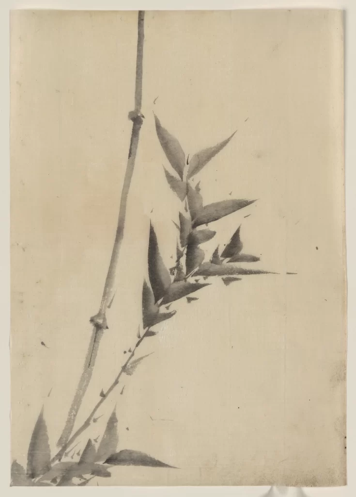 Bamboo Leaves Monochrome Minimalist Nature Delicate