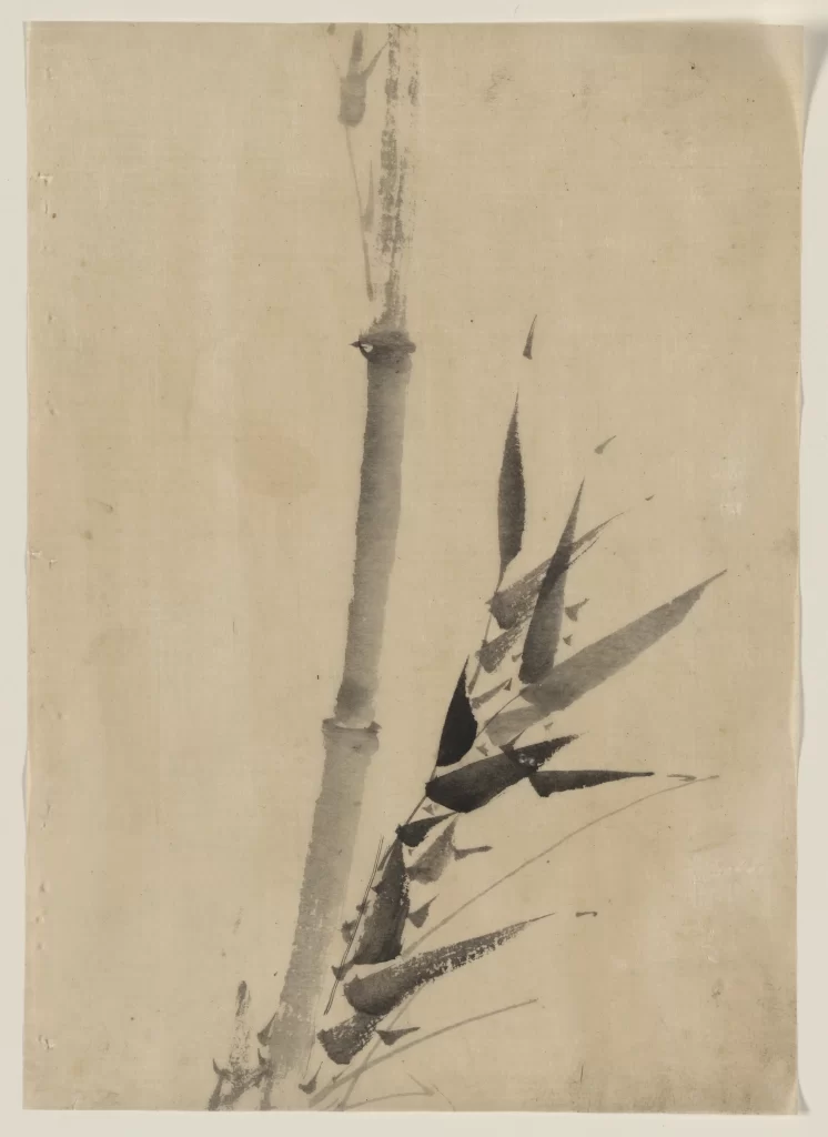 Bamboo Leaves Monochrome Minimalist Nature Japanese