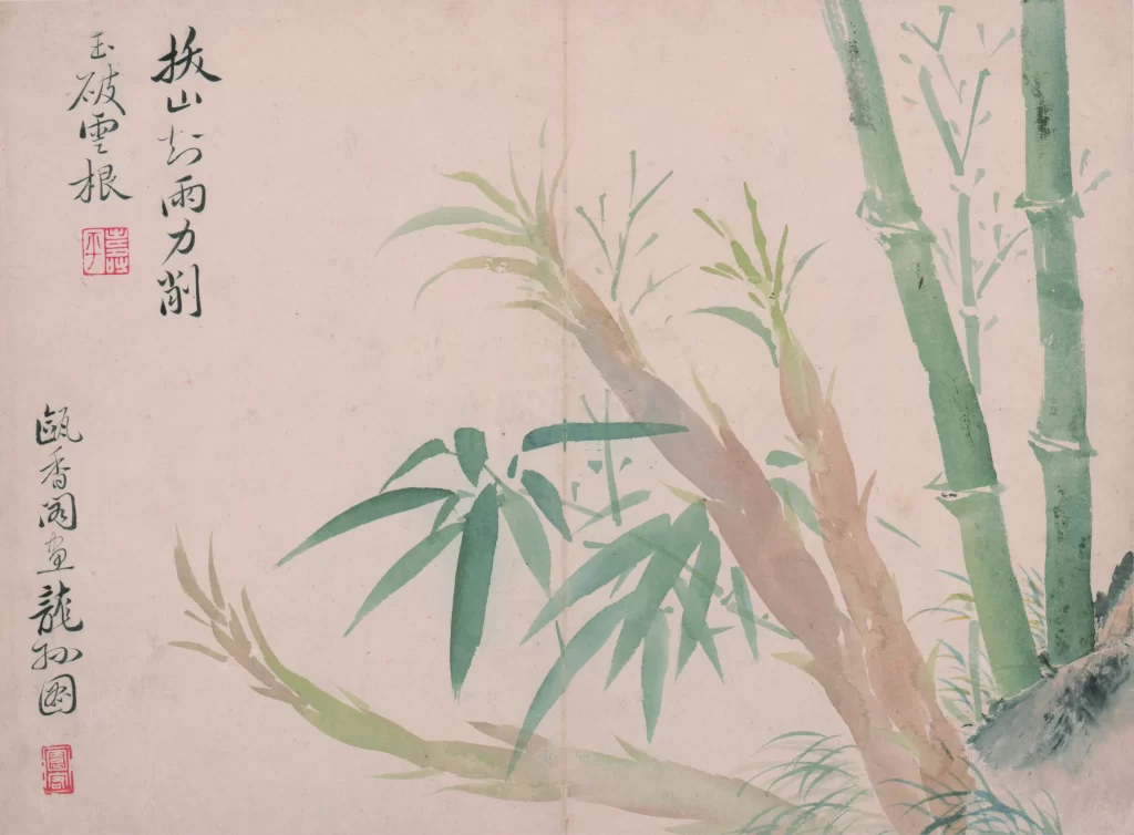 Bamboo Shoots Leaves Yun Shouping