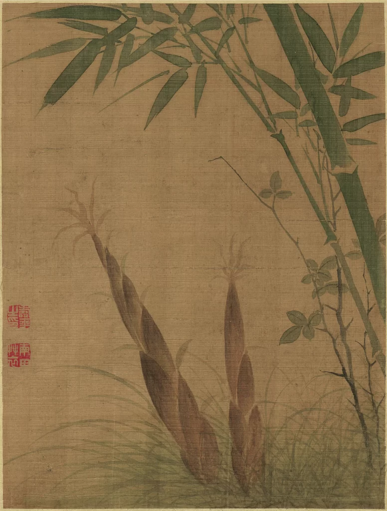 Bamboo Shoots Stalks Grass Yun Shouping