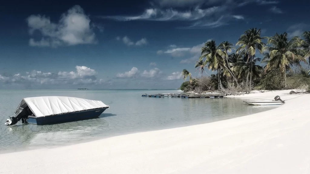 beach boat palm trees ocean sky clouds