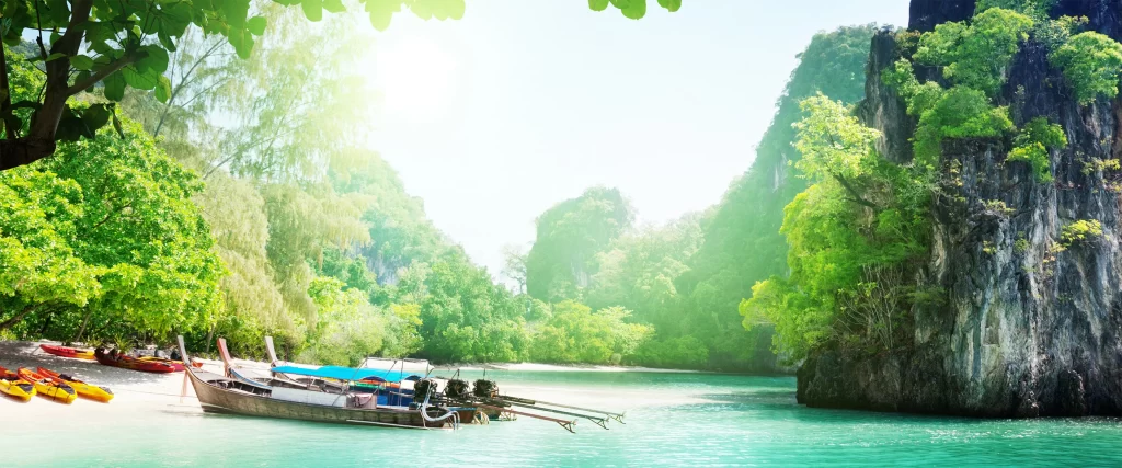 Beach Boats Kayaks Trees Water Sunlight