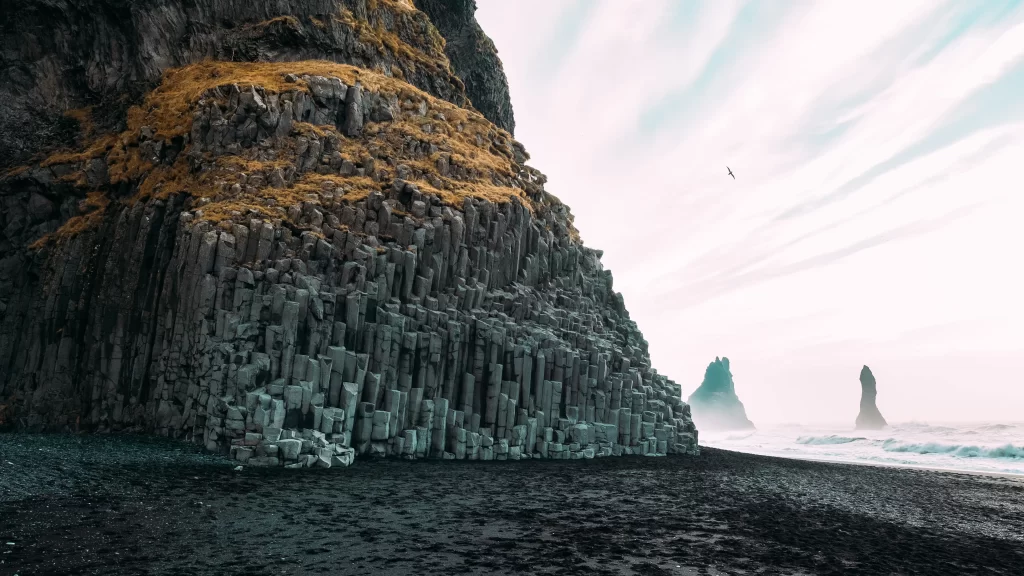 beach cliffs ocean sky bird rock formations