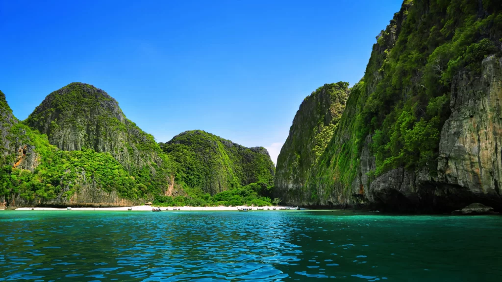 Beach Ocean Cliffs Greenery Clear Sky Serene