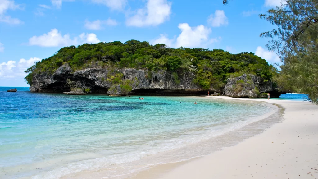 beach ocean rock greenery clear water blue sky