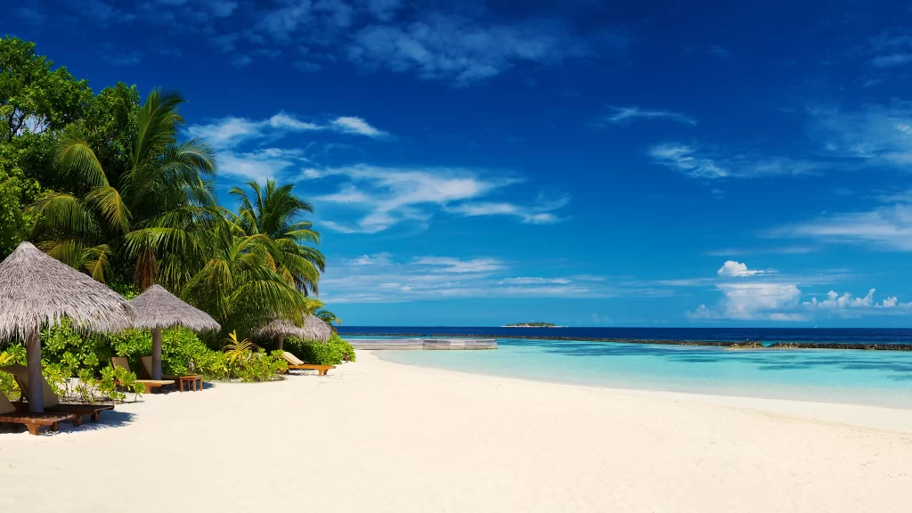 beach ocean sky clouds palm trees sun loungers umbrellas tropical