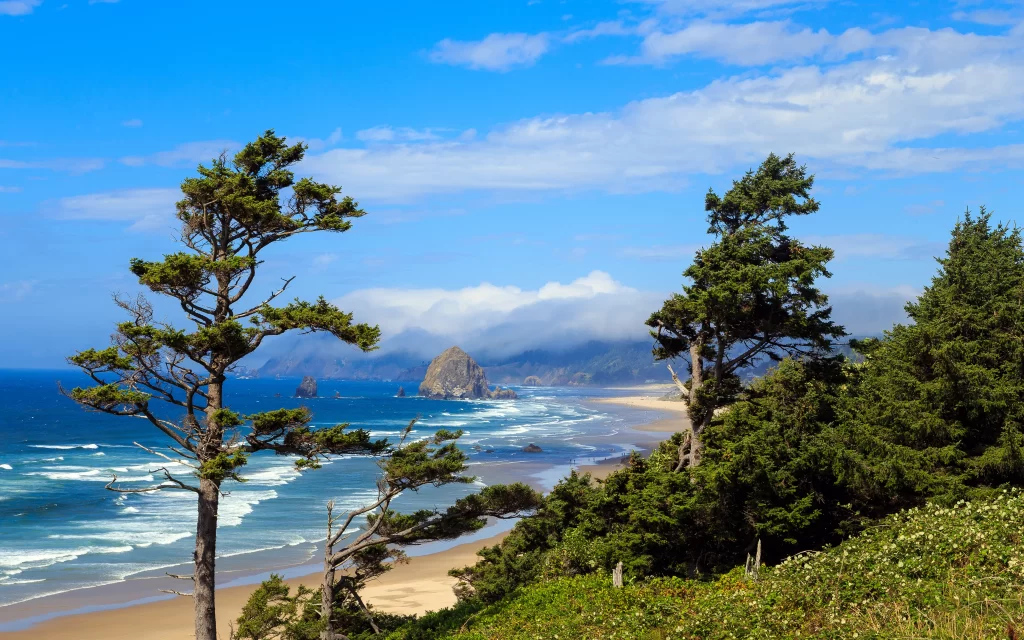 beach ocean trees sky clouds landscape