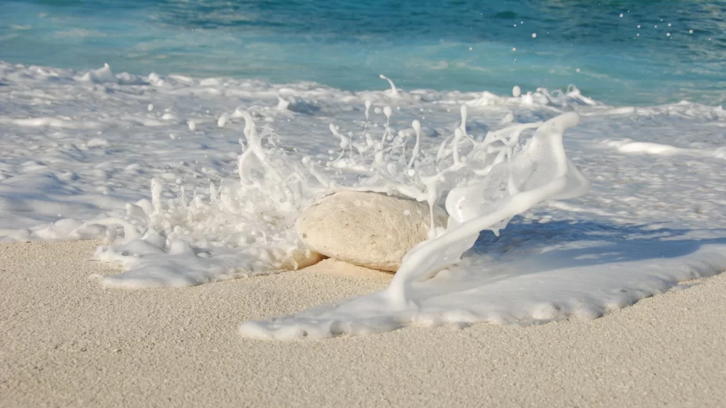 beach ocean wave foam sand seashell