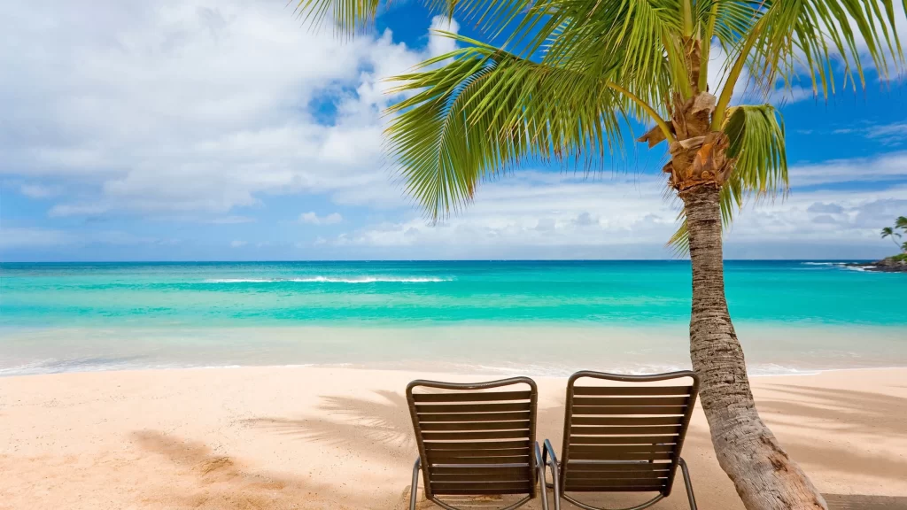 Beach Palm Tree Ocean Lounge Chairs Sky Clouds