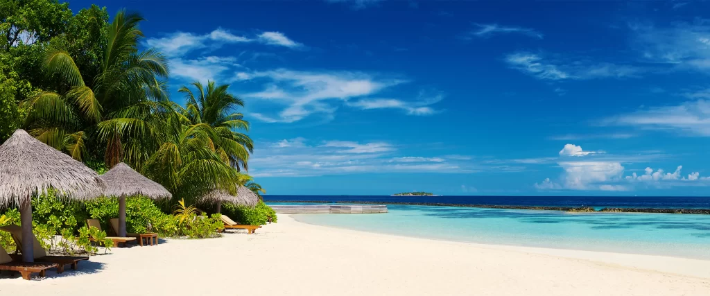 Beach Palm Trees Sun Loungers Clear Sky Turquoise Water Tropical
