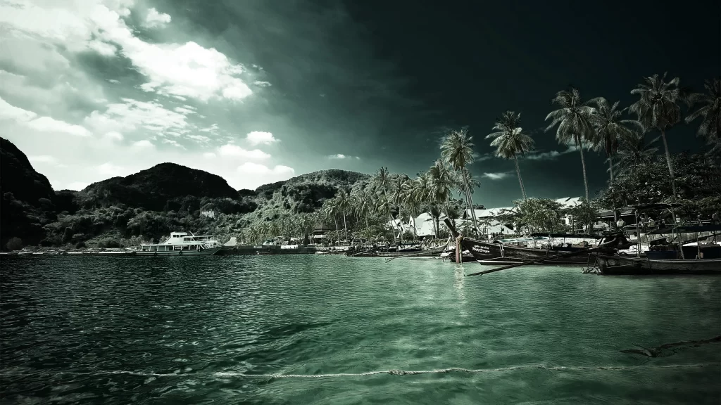 beach palm trees water boats sky clouds