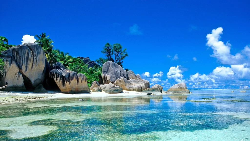 Beach Rocks Clear Water Blue Sky Palm Trees Tropical