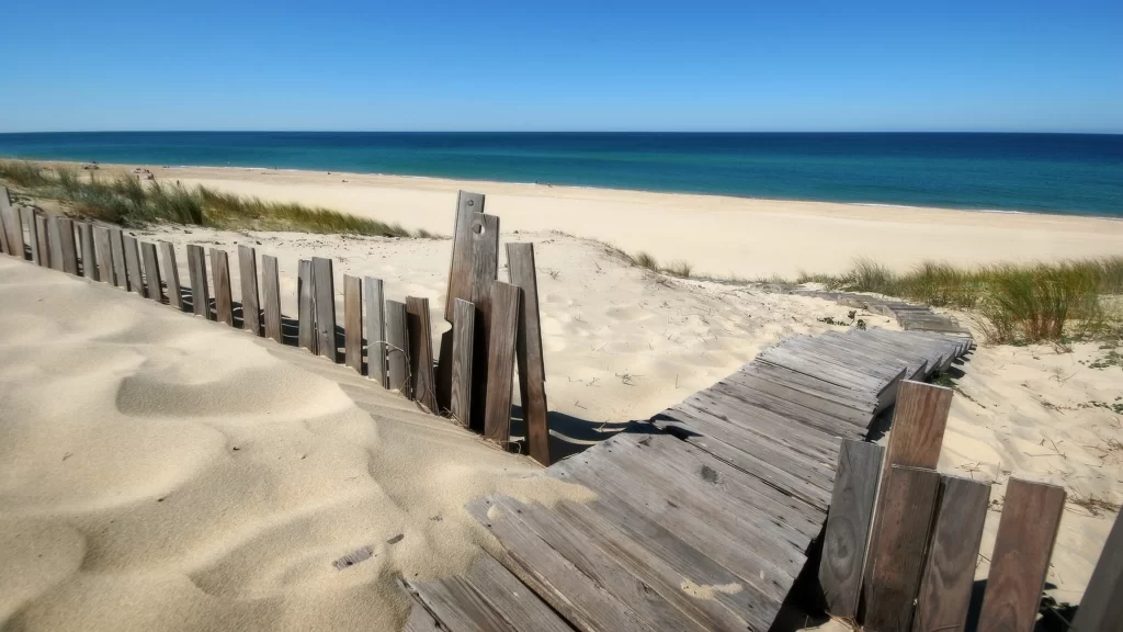 beach sand ocean sky wooden path fence