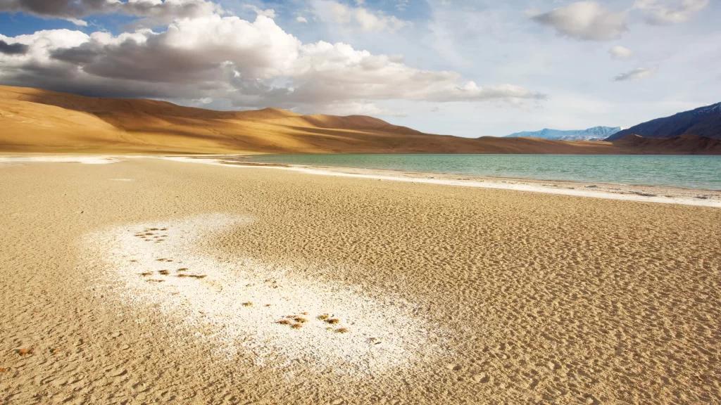 beach sand water sky clouds landscape