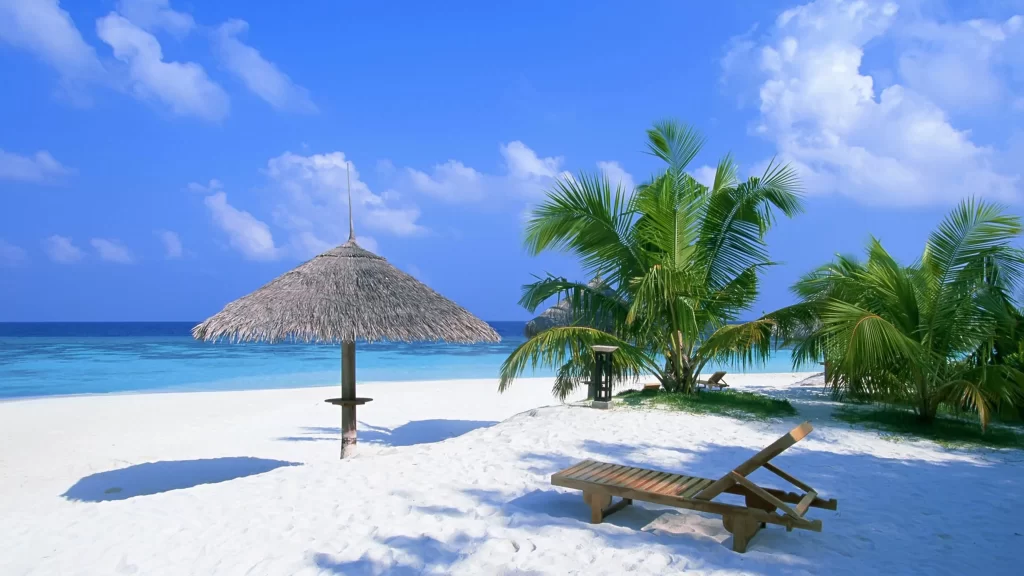 Beach Sun Umbrella Lounge Chair Palm Trees Ocean