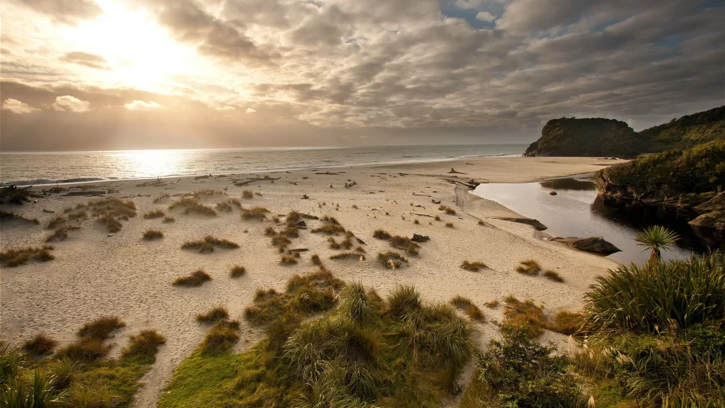beach sunset ocean clouds vegetation landscape