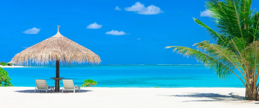 Beach Umbrella Chairs Ocean Palm Tree Sky