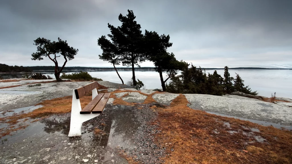 bench trees water sky rocks clouds