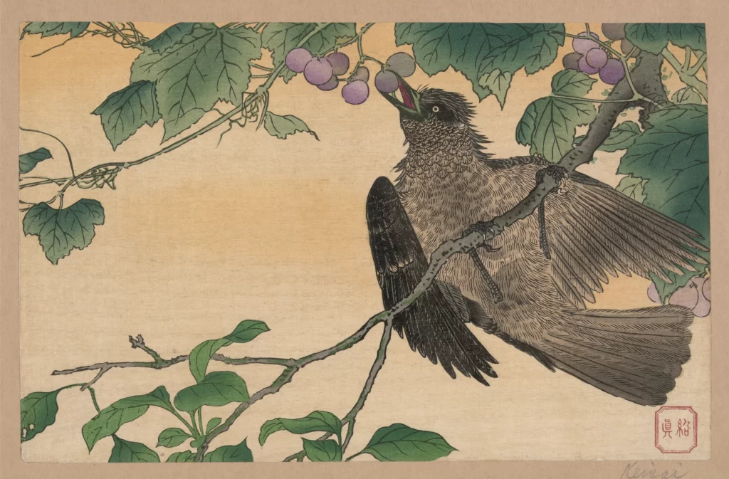 Bird Branch Grapes Leaves Traditional Japanese