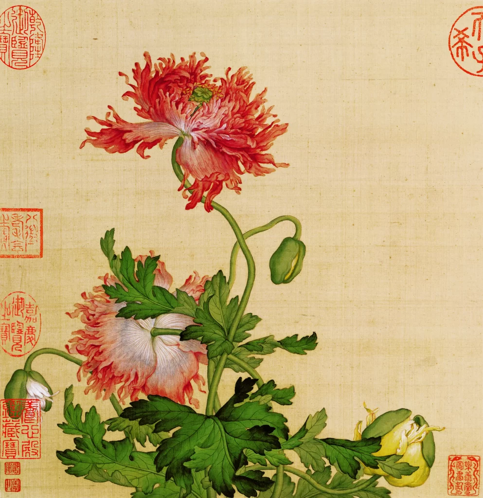 Bird Flower Album Leaf Eight Castiglione