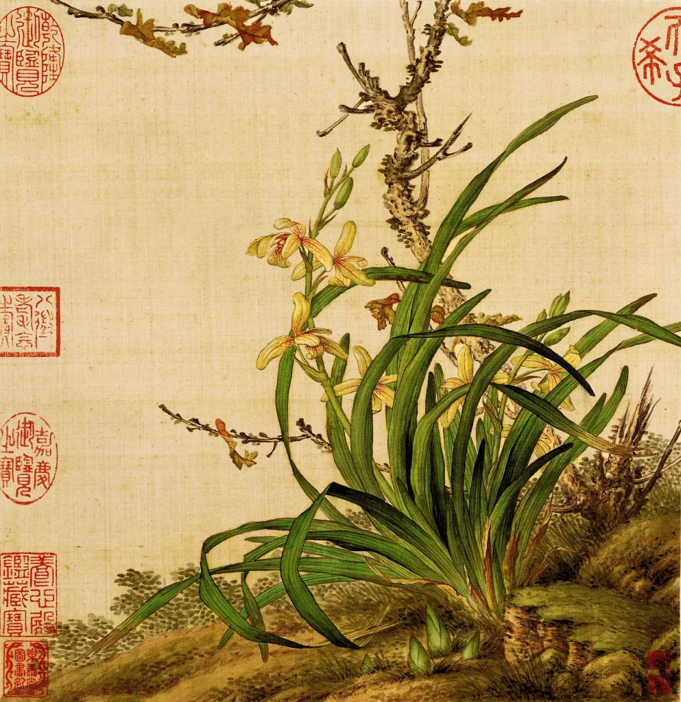 Bird Flower Album Leaf Seven Castiglione