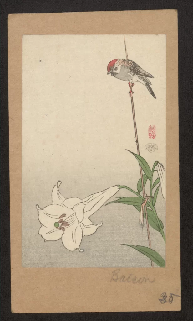 Bird Flower Red White Green Traditional Art