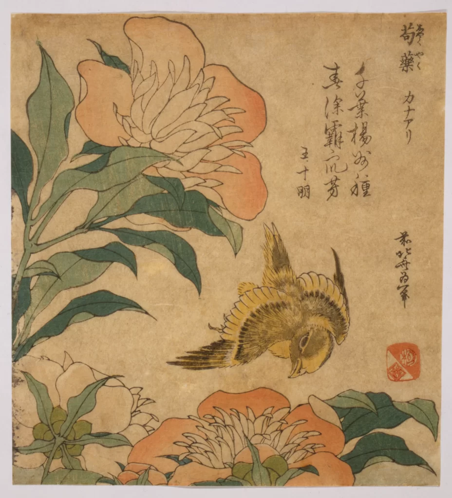 Bird Flower Traditional Painting Japanese Nature