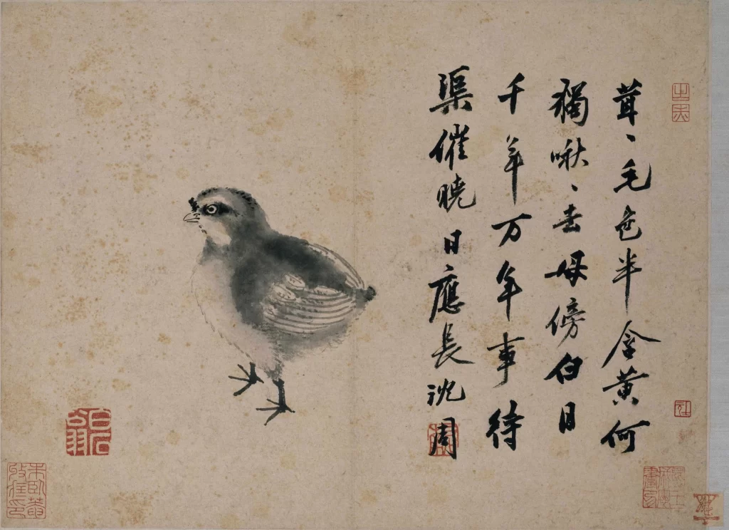 Bird ink wash contemplative Shen Zhou