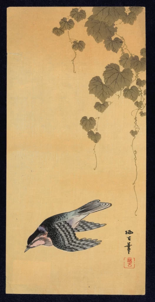 Bird Leaves Traditional Ink Nature Minimalist