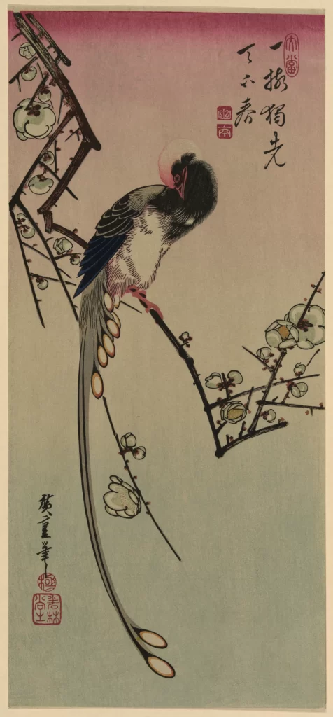 Bird Plumage Branch Blossoms Traditional Ink Painting