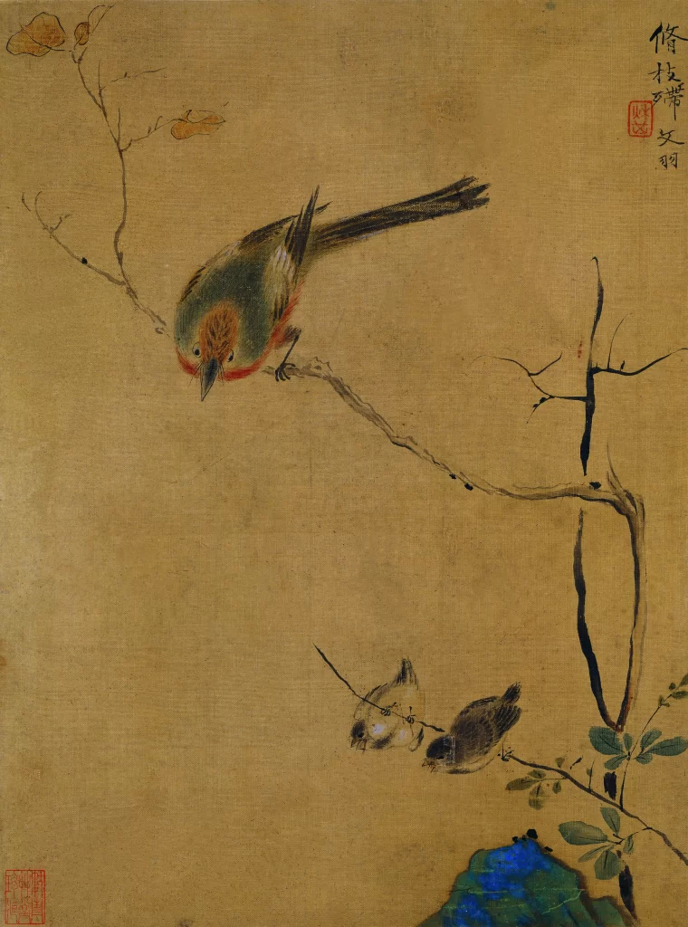 Bird Red Head Long Tail Sparrows Branches Yun Shouping