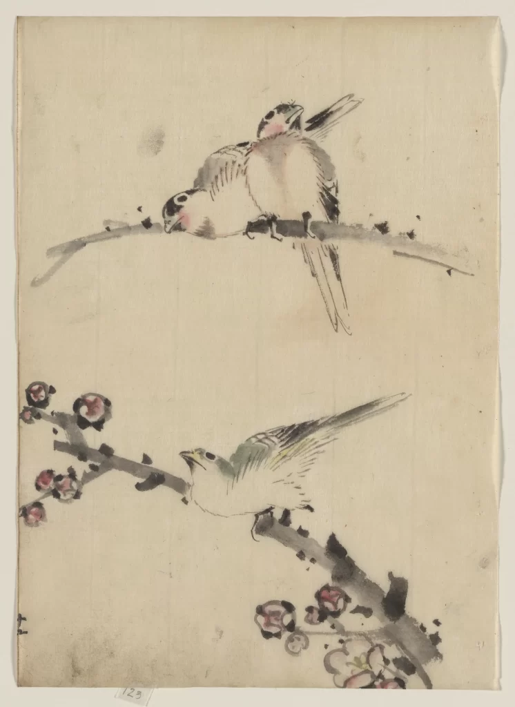 Birds Branches Flowers Delicate Soft