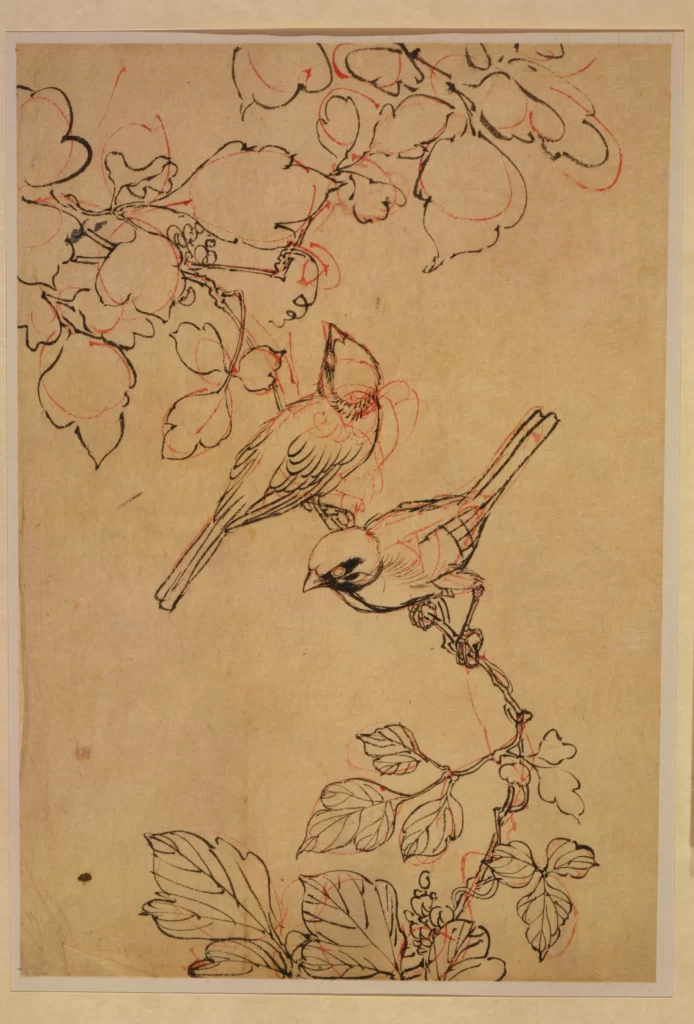Birds Branches Leaves Sketch Nature Art