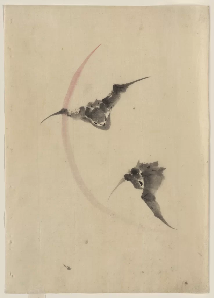 Birds Moon Crescent Flight Silhouette