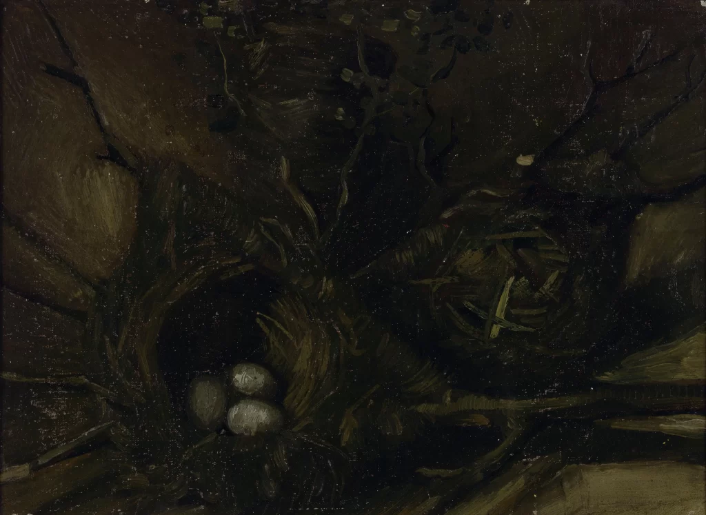 Birds Nests Van Gogh