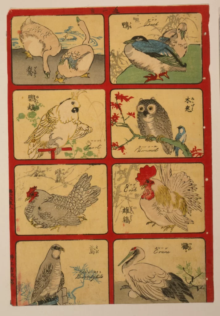 Birds Traditional Art Japanese Colorful Nature Illustrations